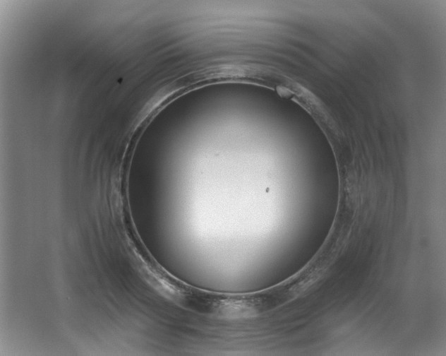 X0000068310794200604241402