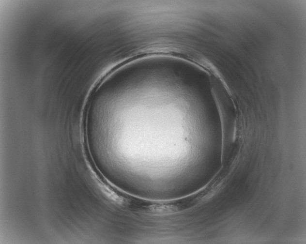 X0000068310795200604241402