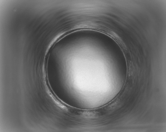 X0000068310796200604241402