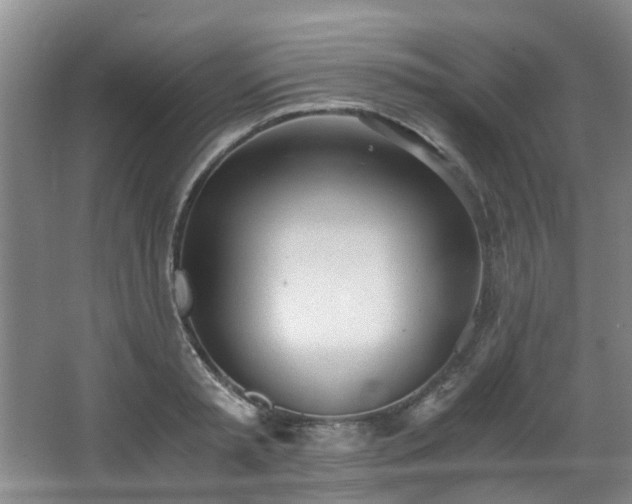 X0000068310797200604241402