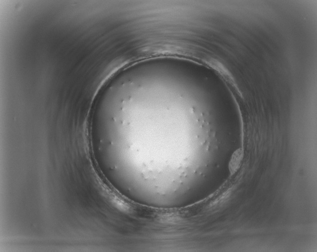 X0000068310798200604241402