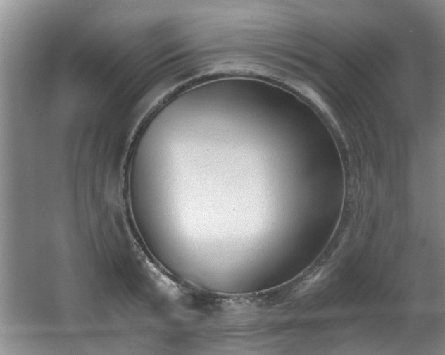 X0000068310799200604241402