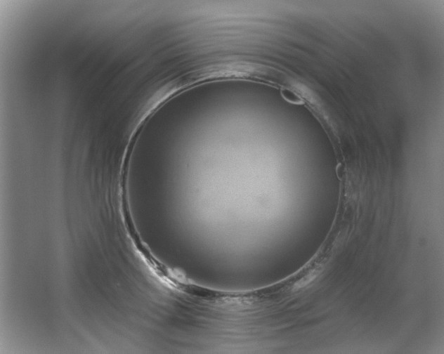 X0000068310802200604241401