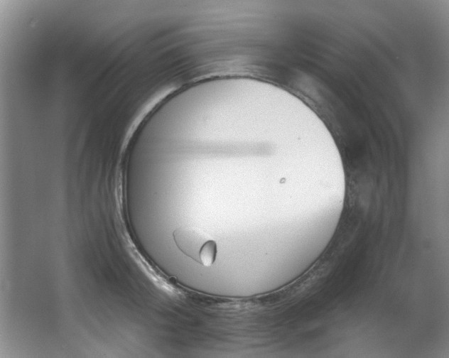 X0000068310804200604241401