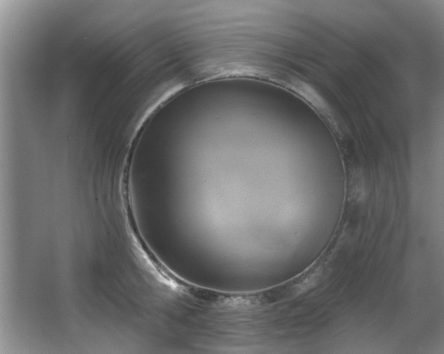 X0000068310806200604241401