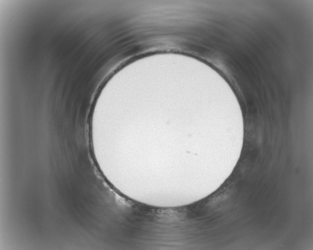 X0000068310807200604241401