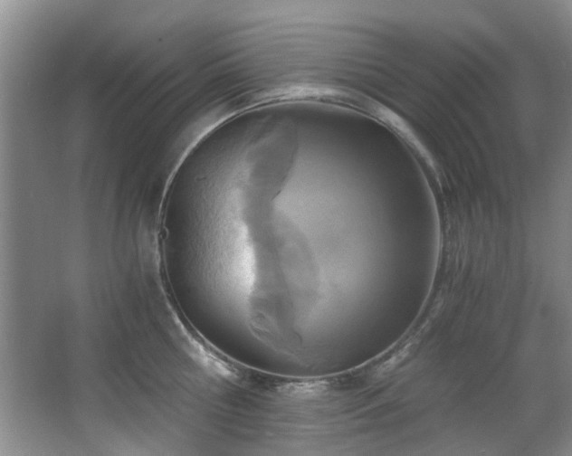 X0000068310810200604241401