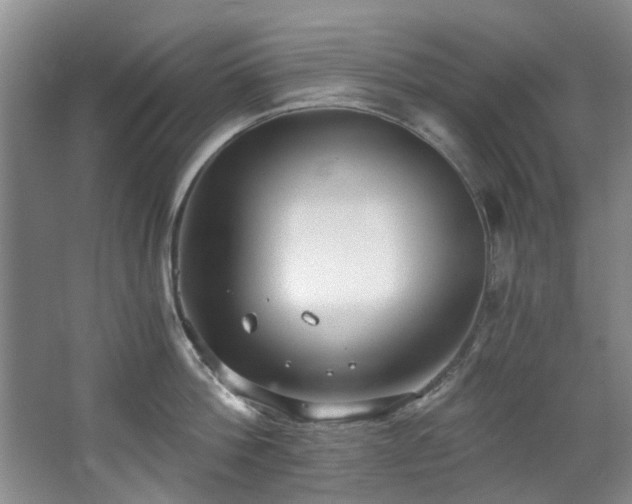 X0000068310812200604241401