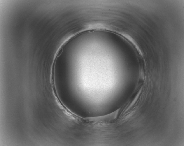 X0000068310815200604241401