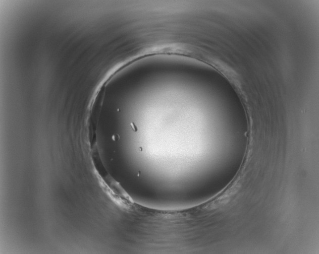 X0000068310816200604241401