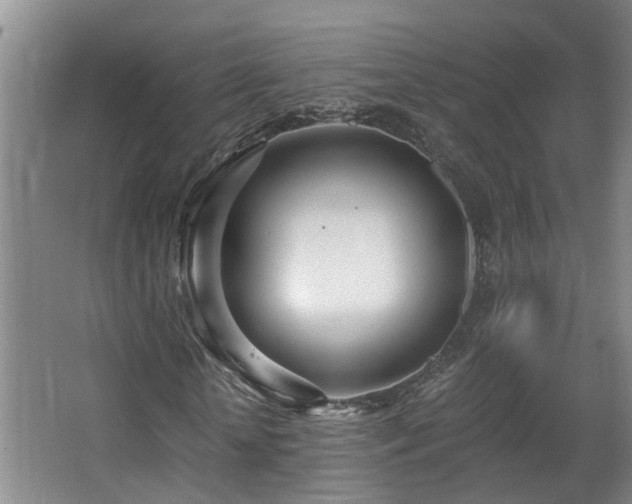 X0000068310818200604241400