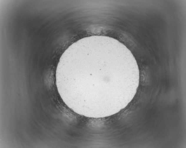 X0000068310820200604241400