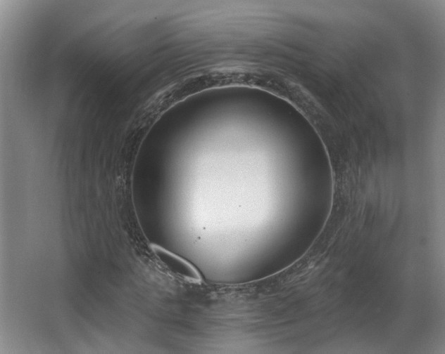 X0000068310821200604241400