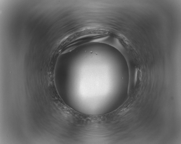 X0000068310822200604241400