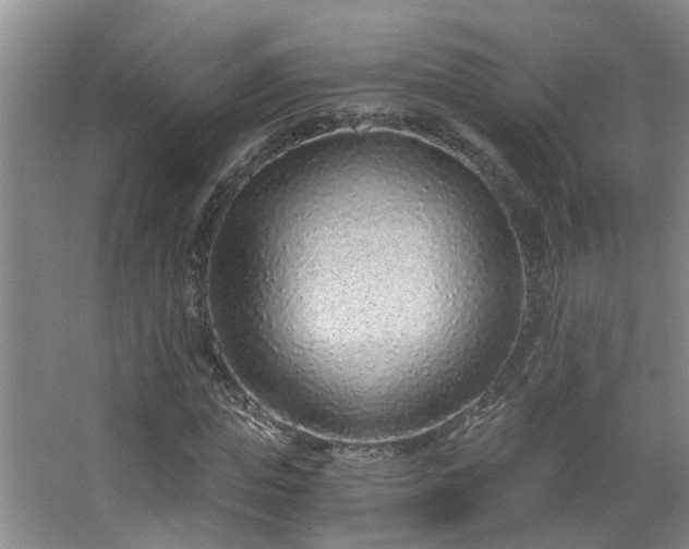 X0000068310823200604241401