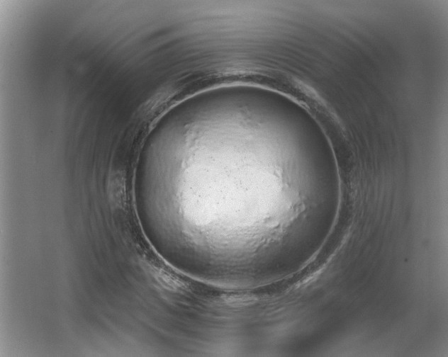 X0000068310825200604241401