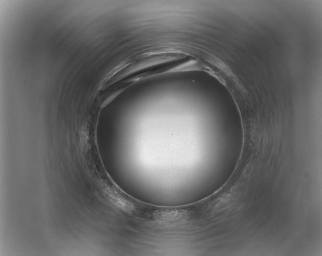 X0000068310826200604241401