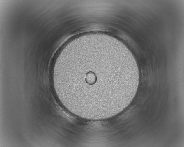 X0000068310828200604241401