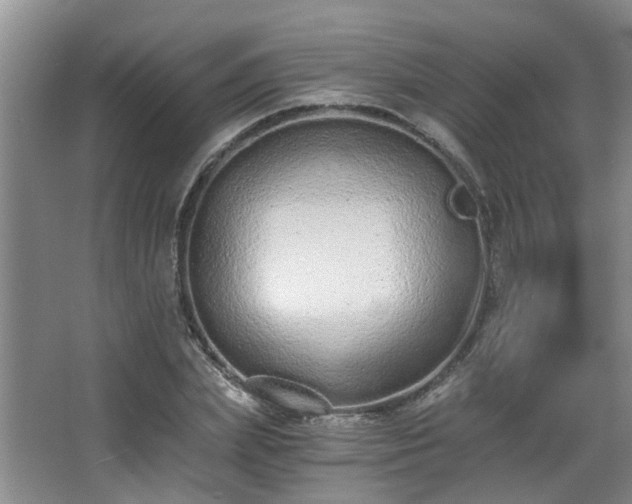 X0000068310831200604241401