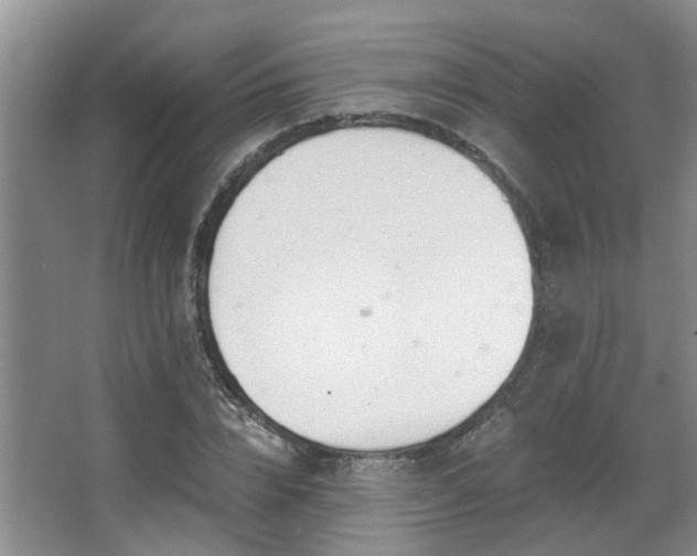 X0000068310832200604241401