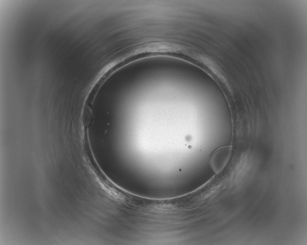 X0000068310837200604241401