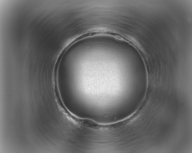 X0000068310839200604241401