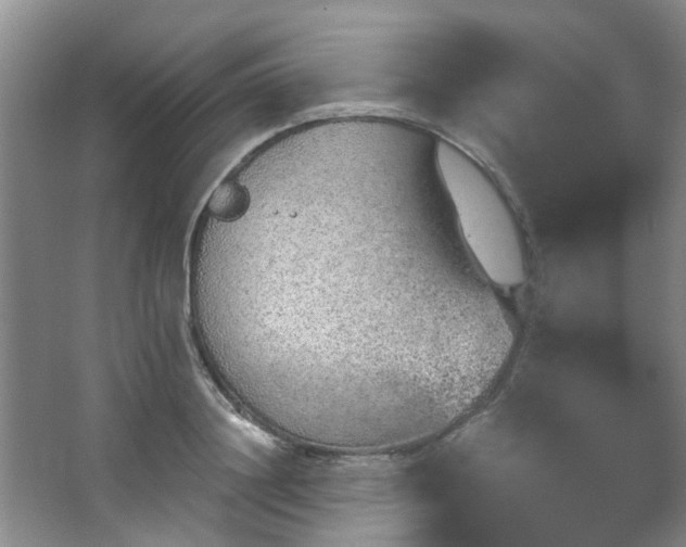 X0000068310844200604241401