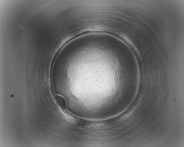 X0000068310845200604241401