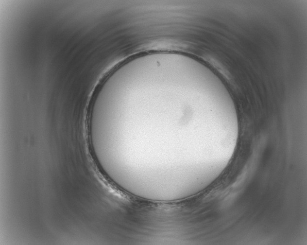 X0000068310848200604241401