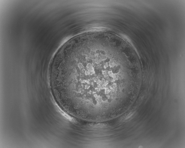 X0000068310851200604241401