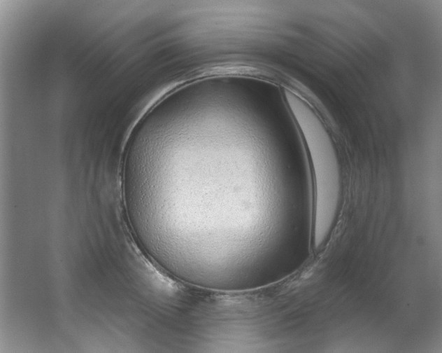 X0000068310852200604241401