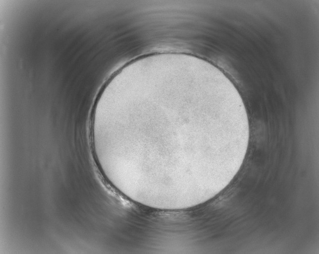 X0000068310856200604241401