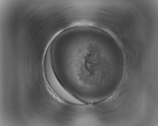 X0000068310864200604241401