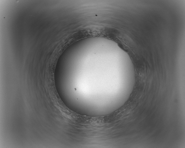 X0000068310865200604241400