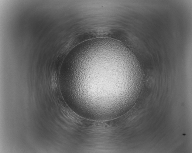 X0000068310866200604241400