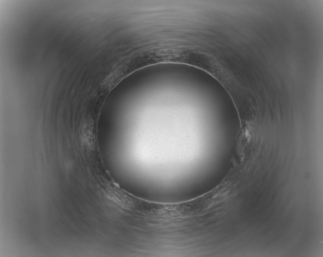 X0000068310867200604241400