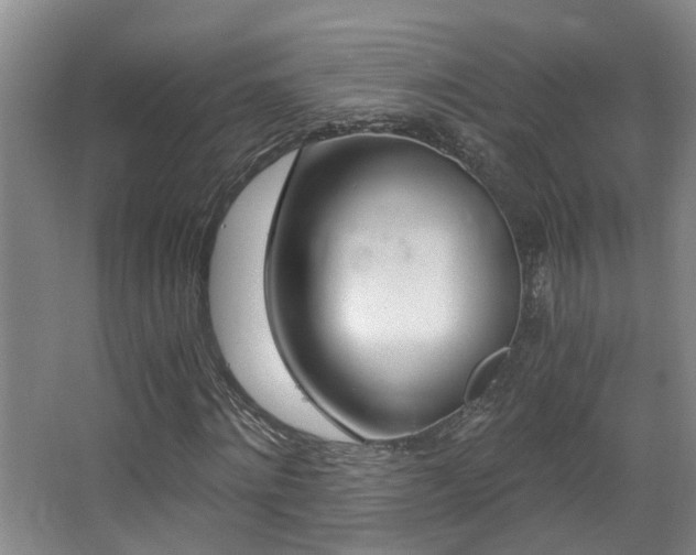 X0000068310868200604241400