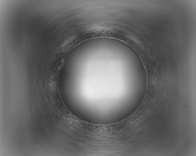 X0000068310869200604241400