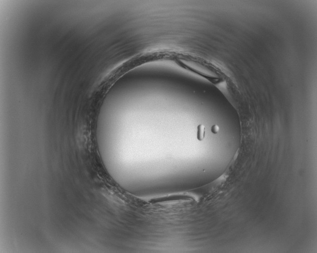 X0000068310872200604241400