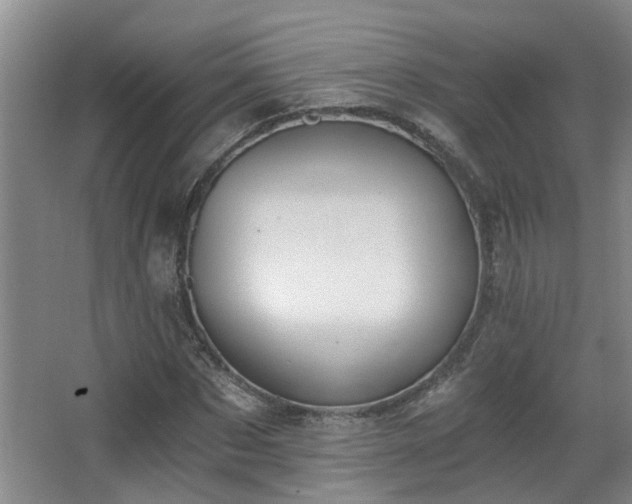 X0000068310873200604241400