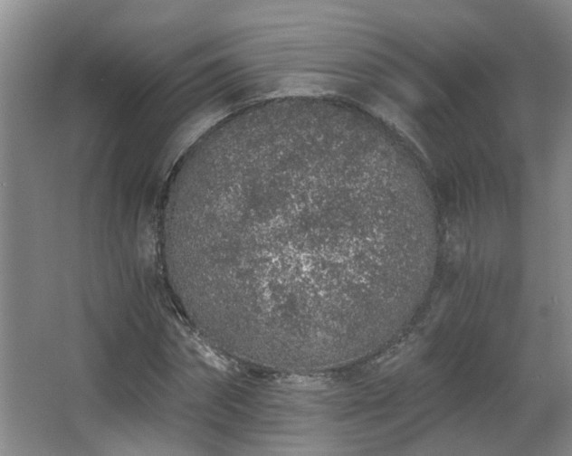 X0000068310874200604241400