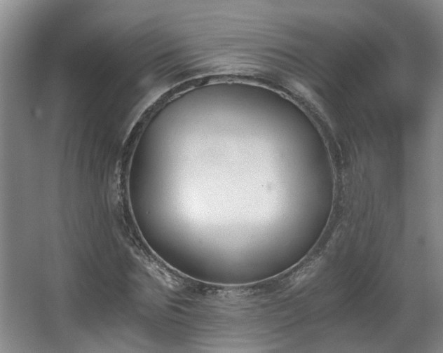 X0000068310875200604241400