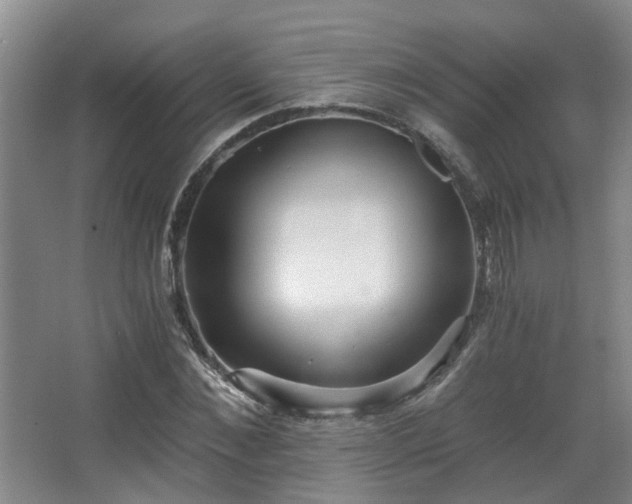 X0000068310876200604241400