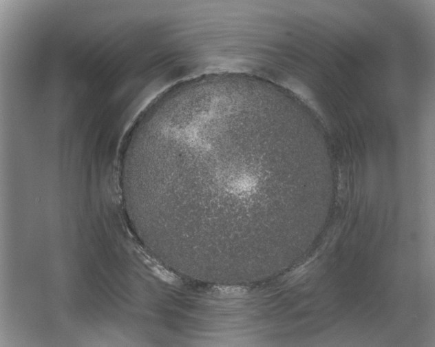 X0000068310878200604241400