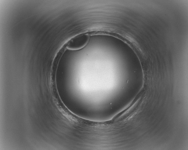 X0000068310880200604241400