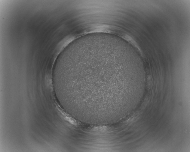 X0000068310882200604241400