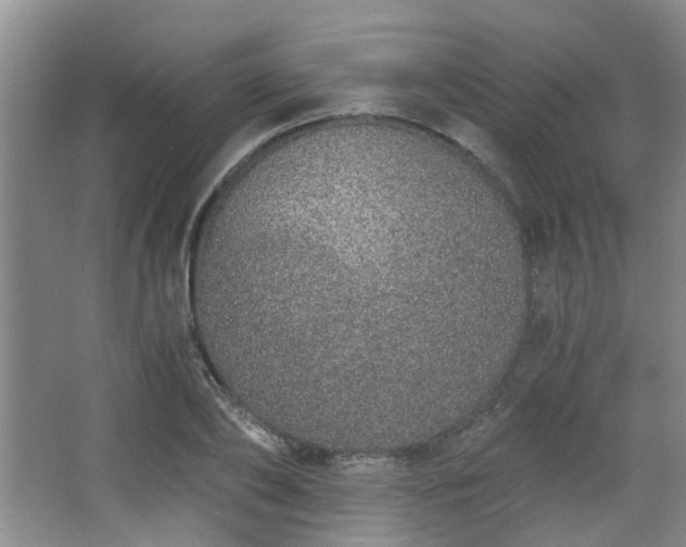 X0000068310886200604241400