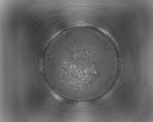 X0000068310889200604241400