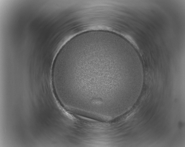 X0000068310895200604241400