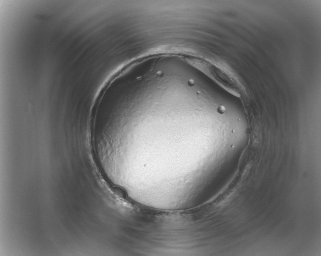 X0000068310896200604241400